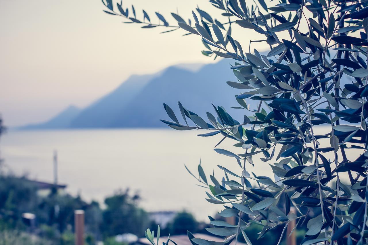 Villa Treccani Apartments Malcesine Exteriör bild
